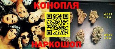 ПСИЛОЦИБИНОВЫЕ ГРИБЫ Майкоп