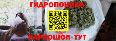 ПСИЛОЦИБИНОВЫЕ ГРИБЫ Майкоп