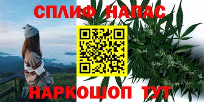 ПСИЛОЦИБИНОВЫЕ ГРИБЫ Майкоп